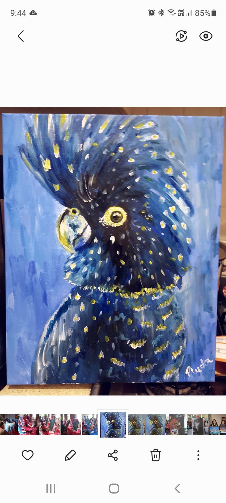 Blue Cockatoo