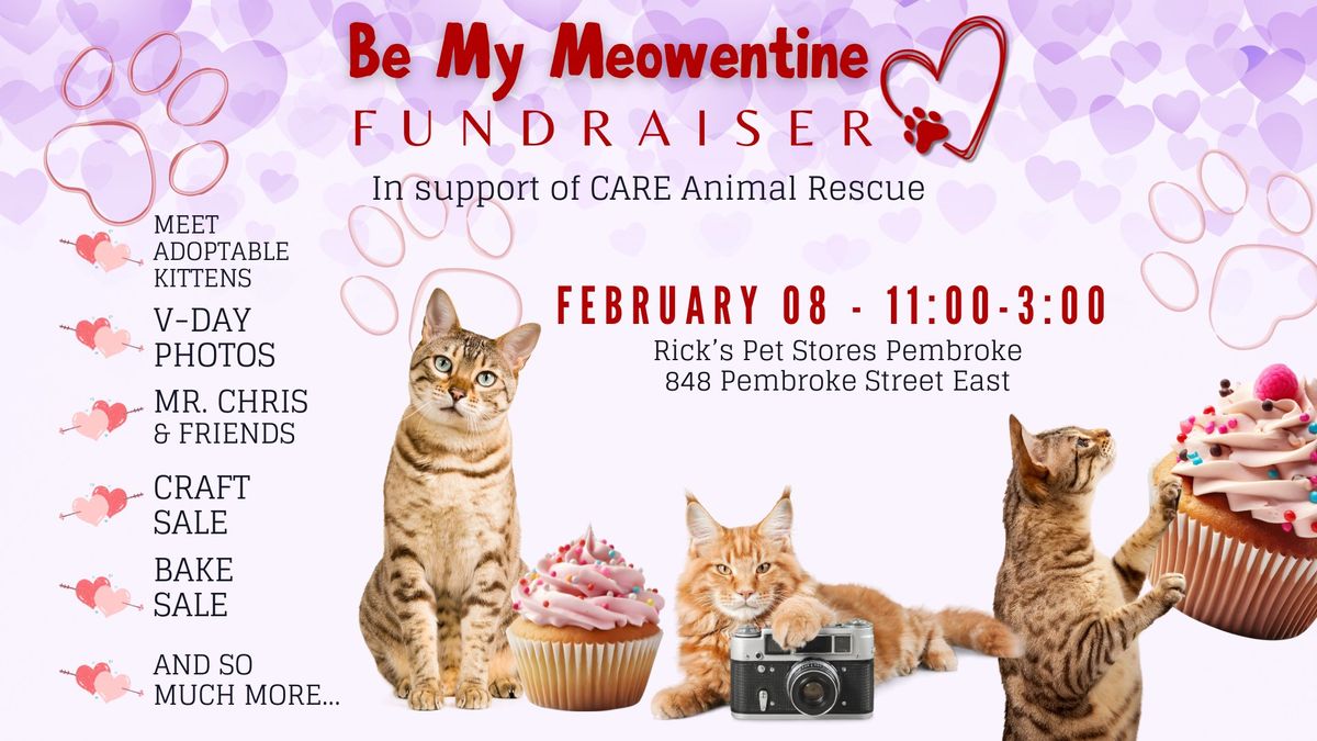 Be My Meowentine - Fundraiser in support if CARE Animal Rescue