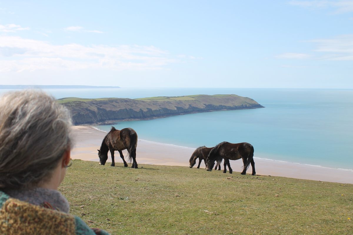 Exmoor Pony Experience - Woolacombe