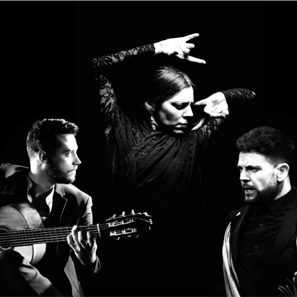 Art of Andalucia - Flamenco Dance