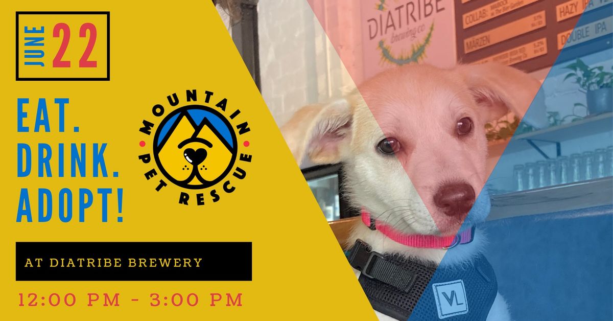 Beers and Barks at Diatribe Brewery