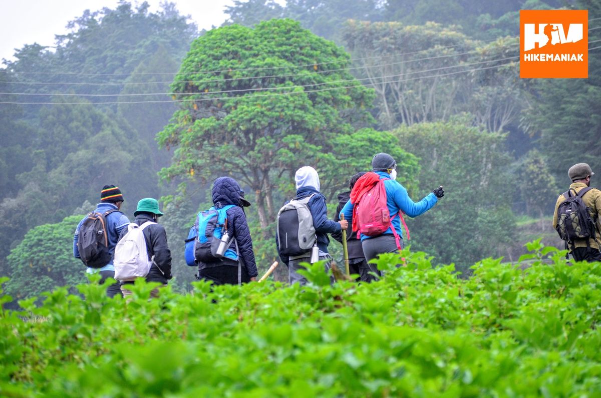 Hikemaniak Elephant Hill Hike