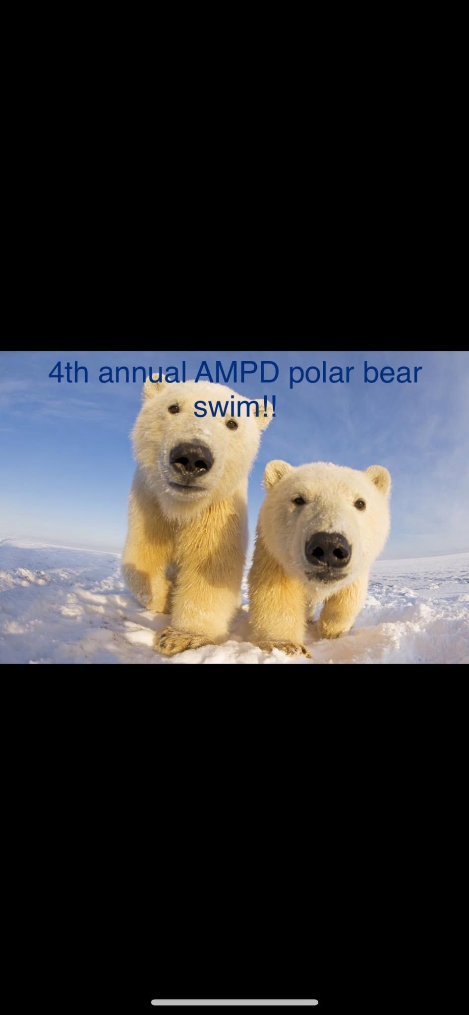 Jan 1st polar bear swim