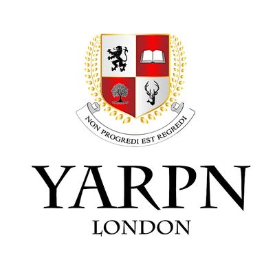 Young Anglo Russian Professional Network