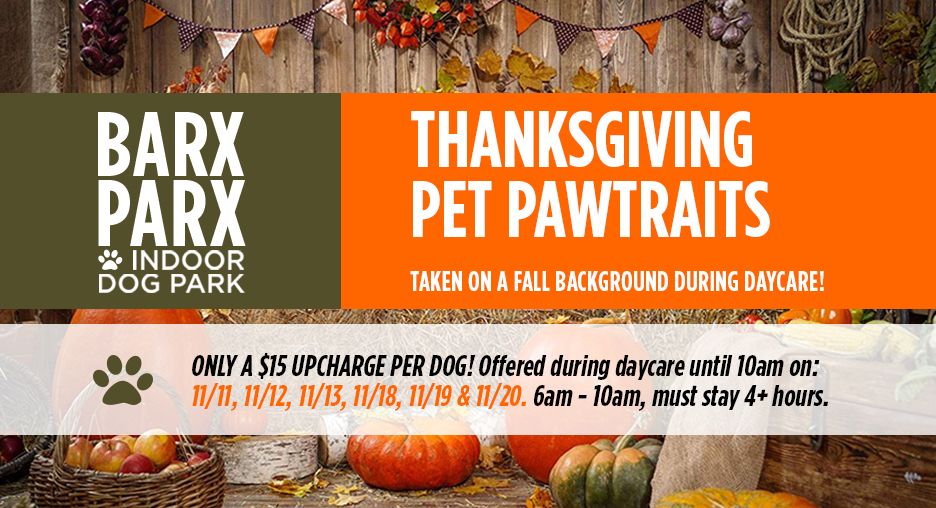 $15 Thanksgiving Pawtraits During Daycare (Select Dates 6am-10am)