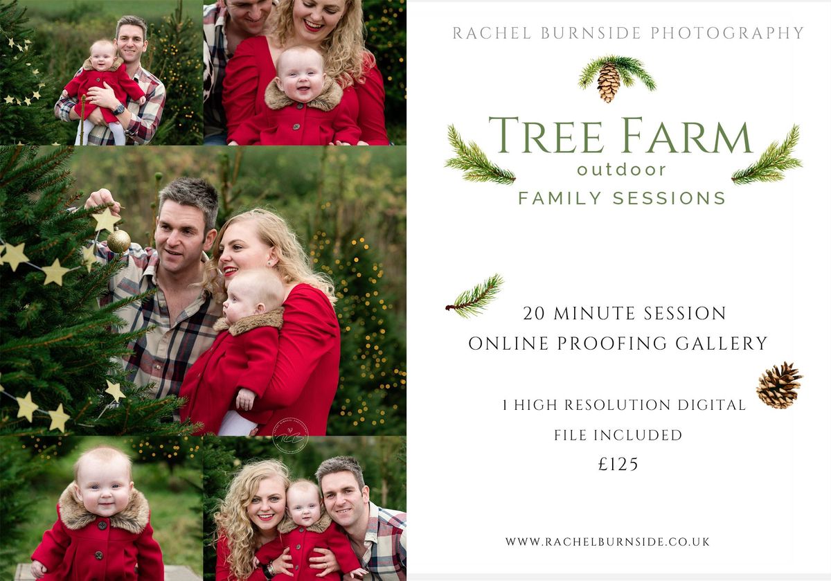 Tree Farm Sessions