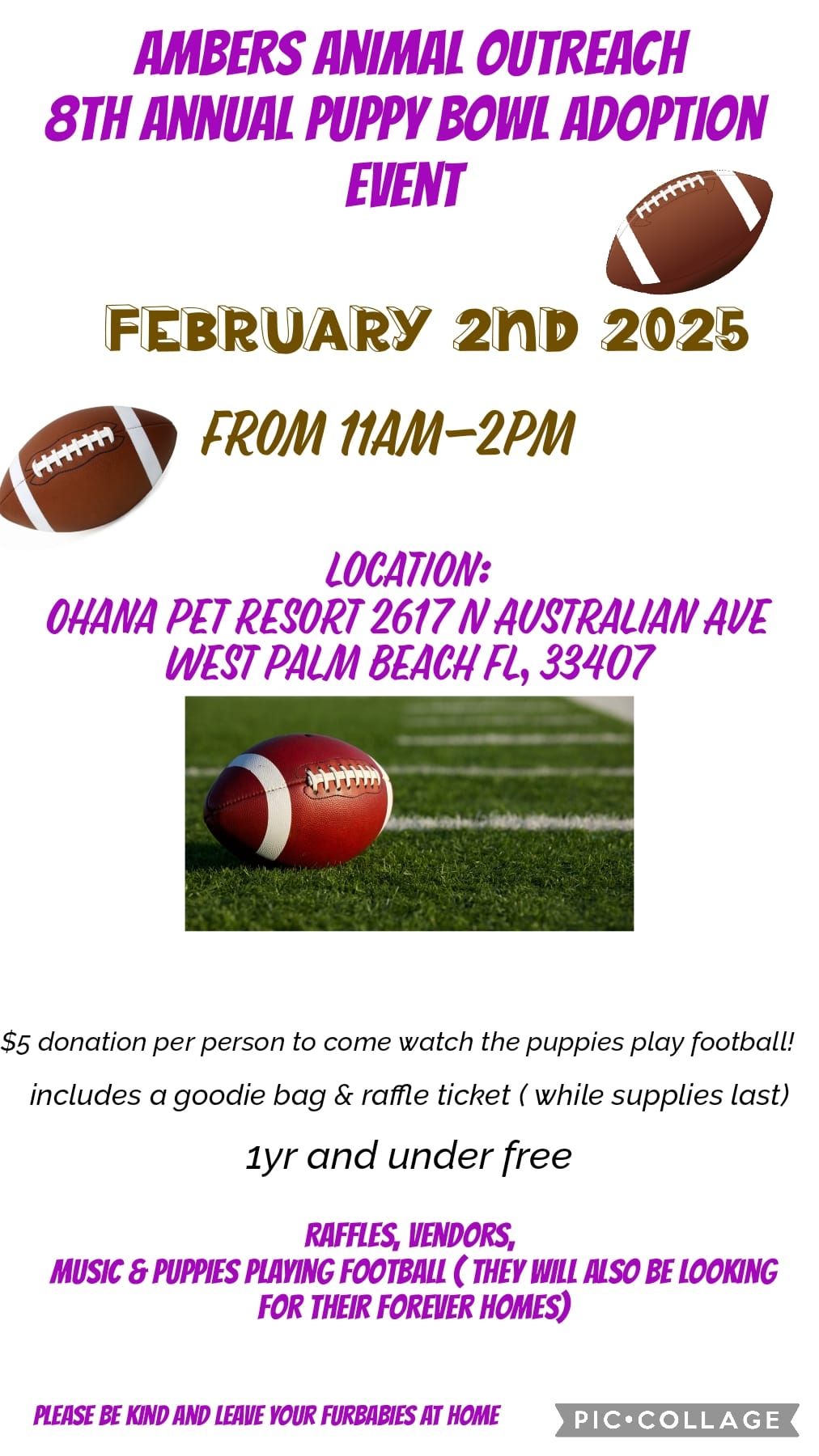 Amber's Animal outreach 8th annual puppy bowl adoption event 