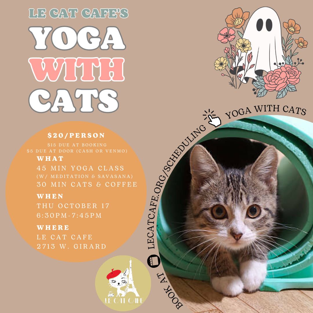 Yoga with Cats