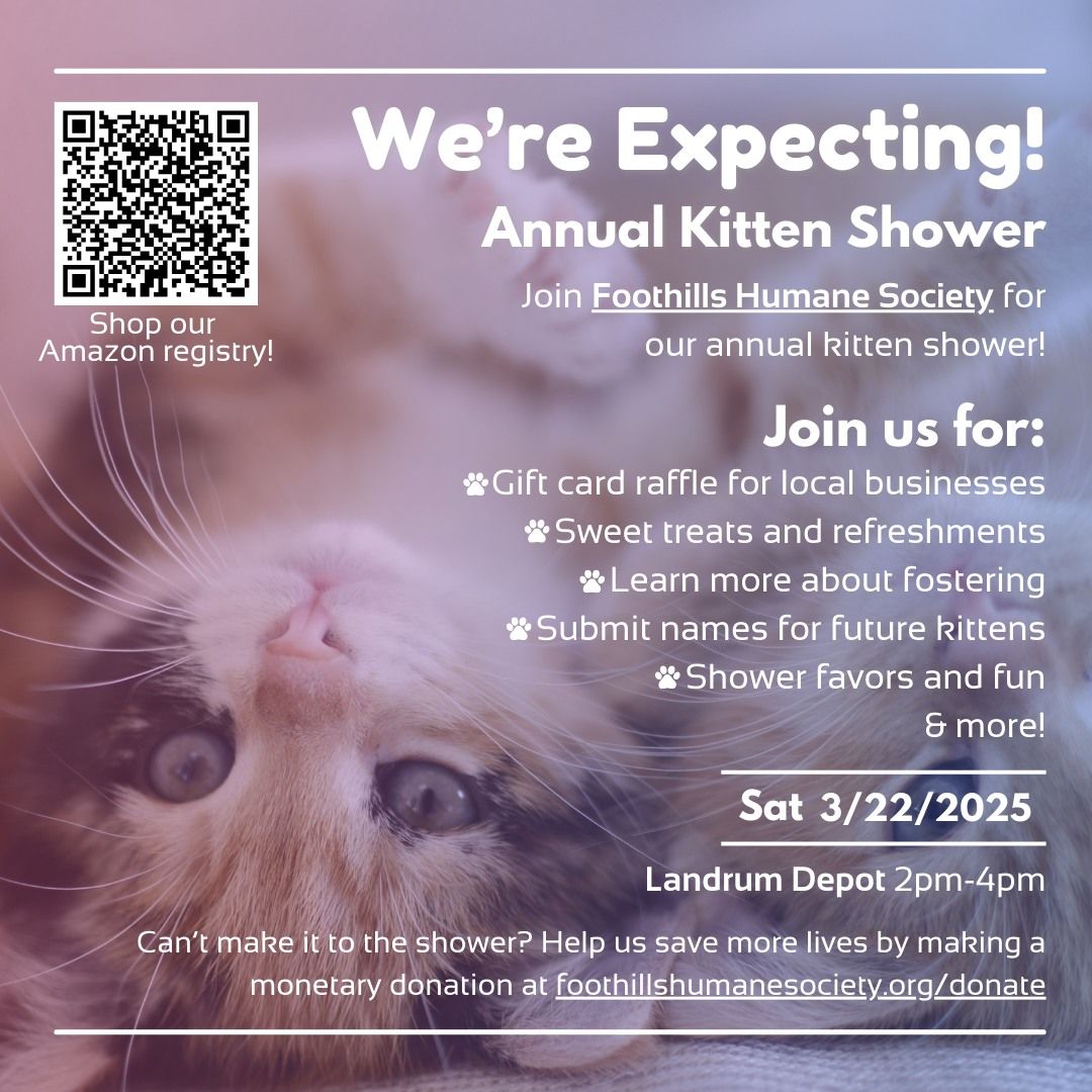 We're Expecting! Annual Kitten Shower