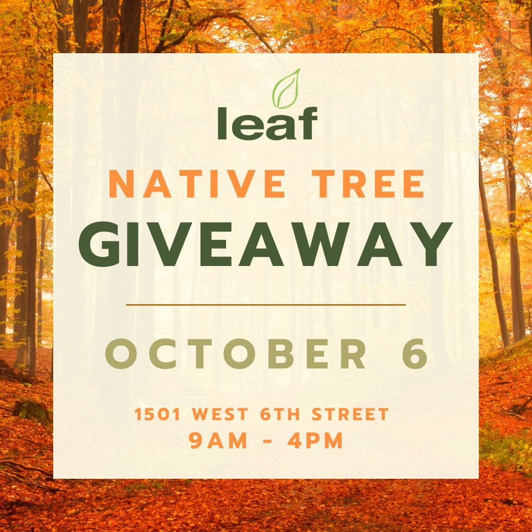 Fall Native Tree Giveaway