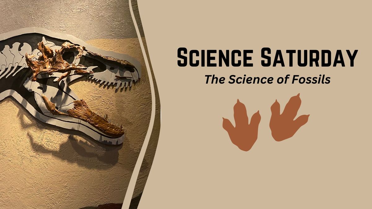 Science Saturday: The Science of Fossils