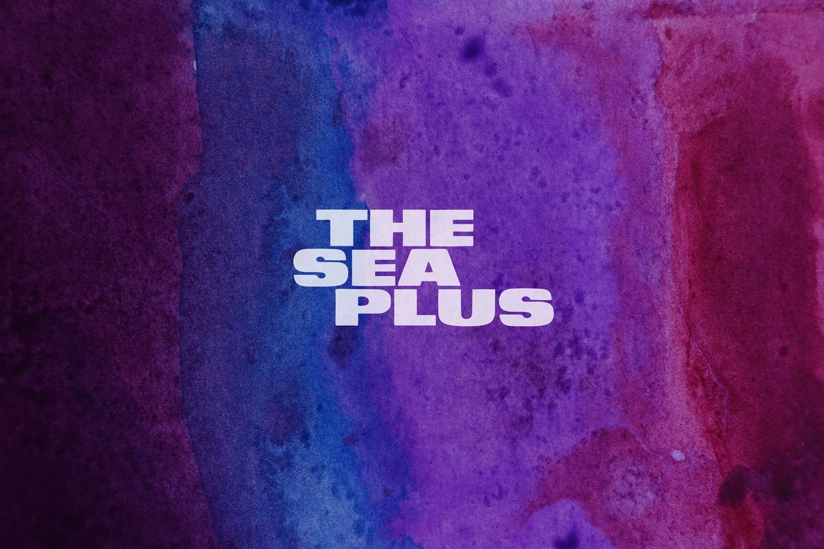 The Sea Plus, A Crude Mechanical and Peter Hobbs