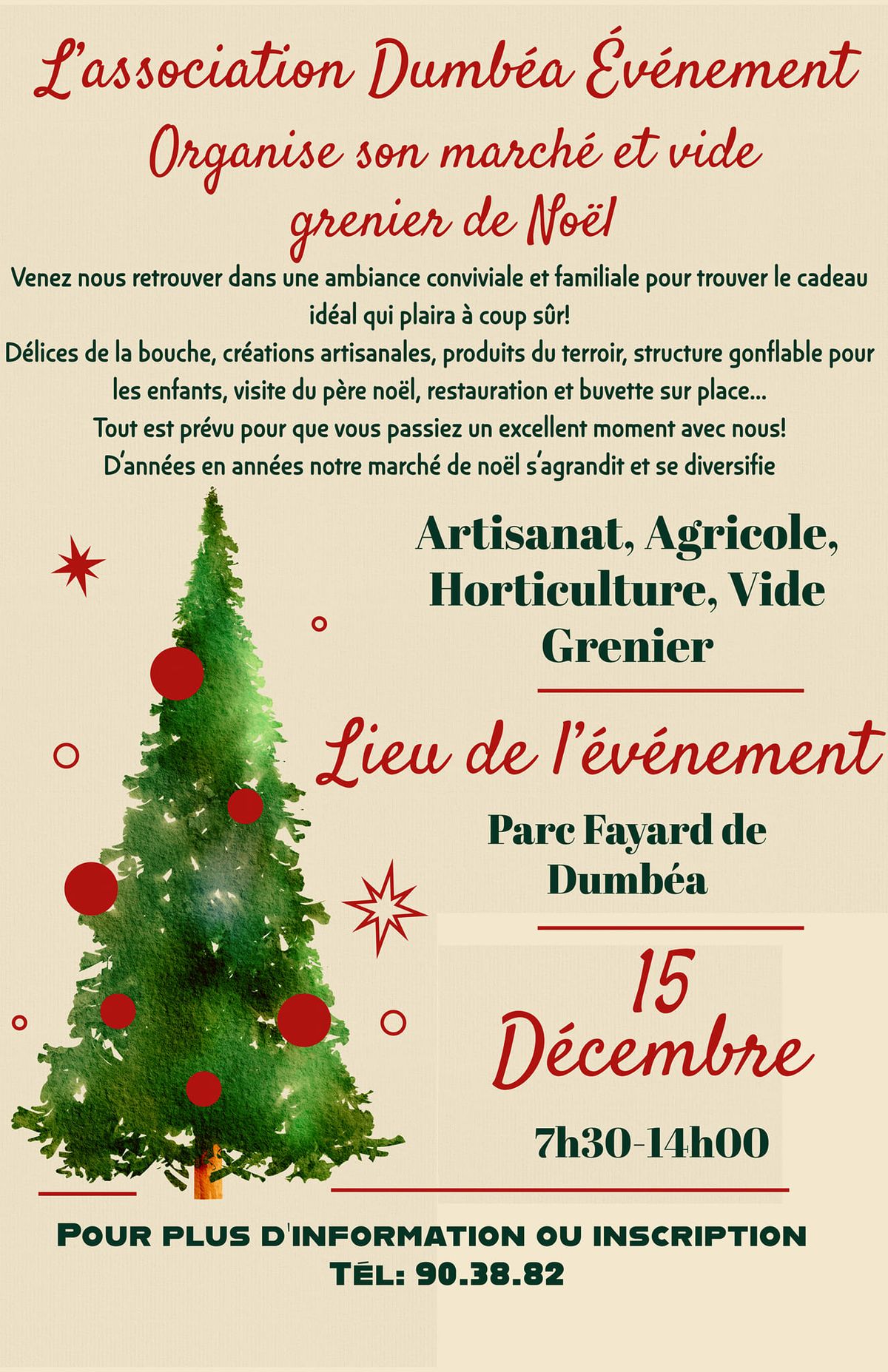 March\u00e9 et Vide Grenier de No\u00ebl au Parc Fayard