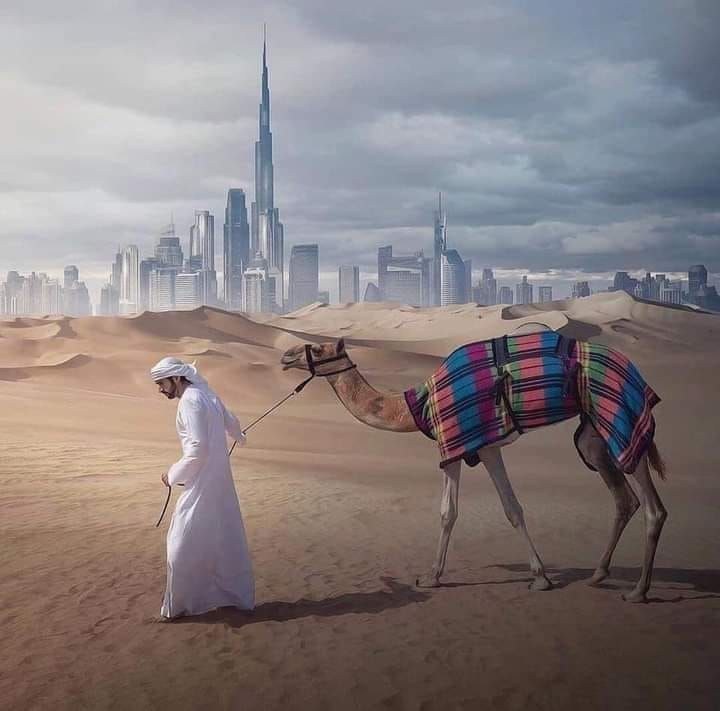 Dubai: The wisdom of the desert