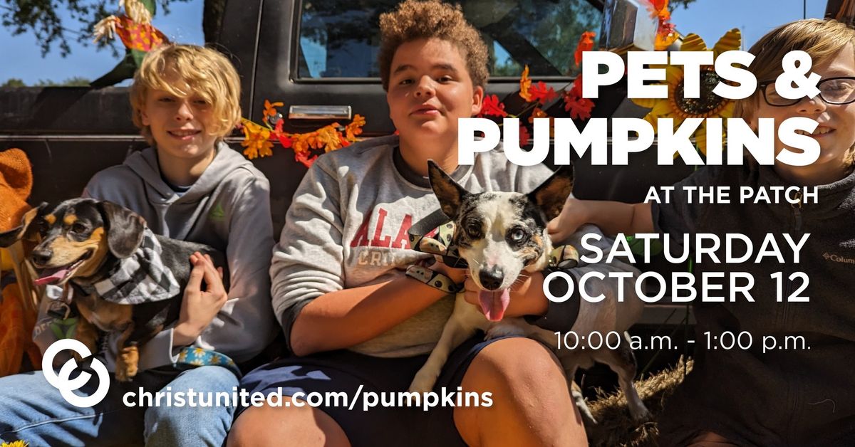 Pets & Pumpkins