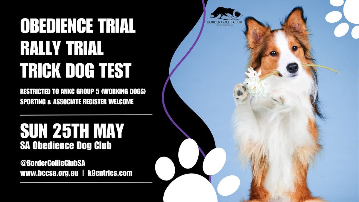 Obedience Trial, Rally Trial & Trick Dog Test