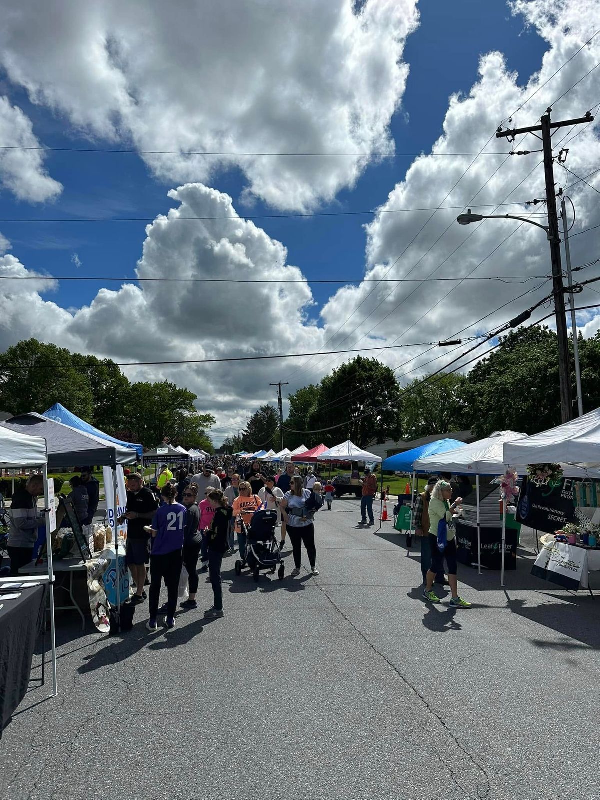 Dillsburg Pickle Fest 2025