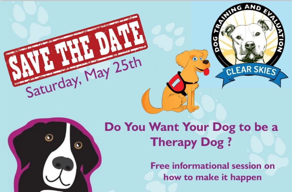 Do You Want Your Dog to Be a Therapy Dog?
