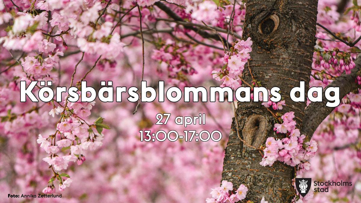 K\u00f6rsb\u00e4rsblommans dag 2025