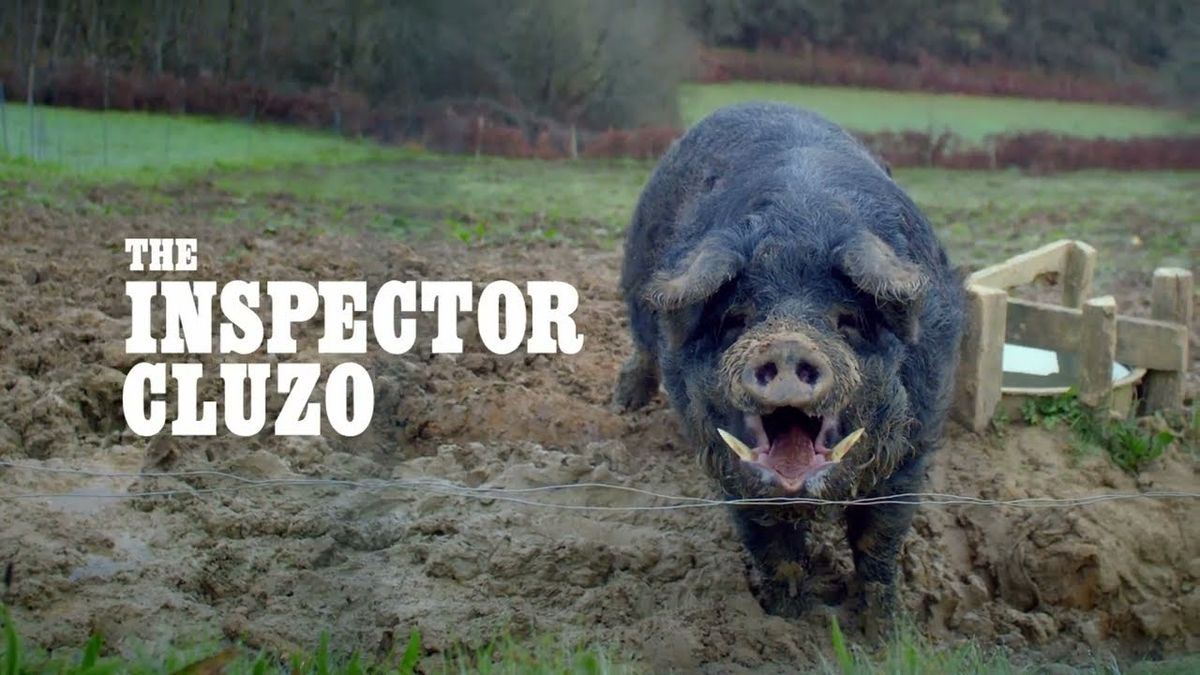 Inspector Cluzo Amsterdam Tickets
