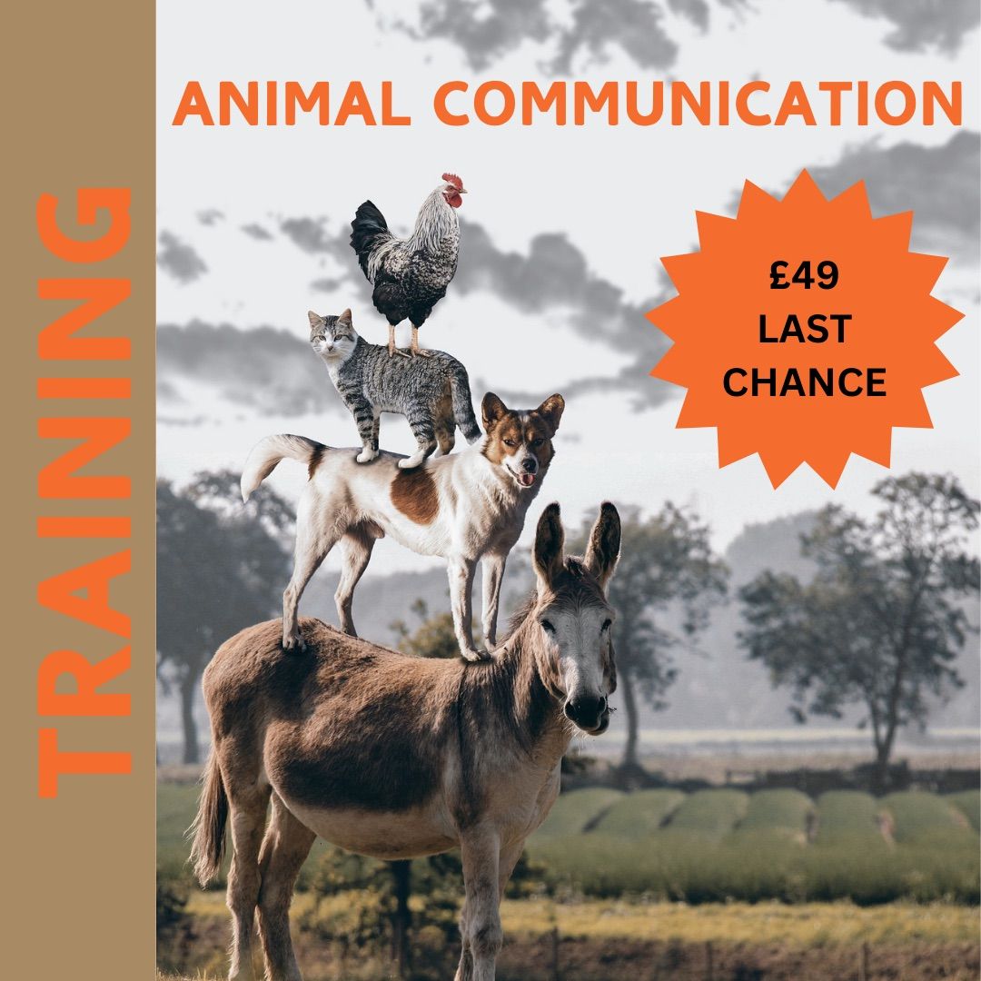 INTRODUCTION TO ANIMAL COMMUNICATION 