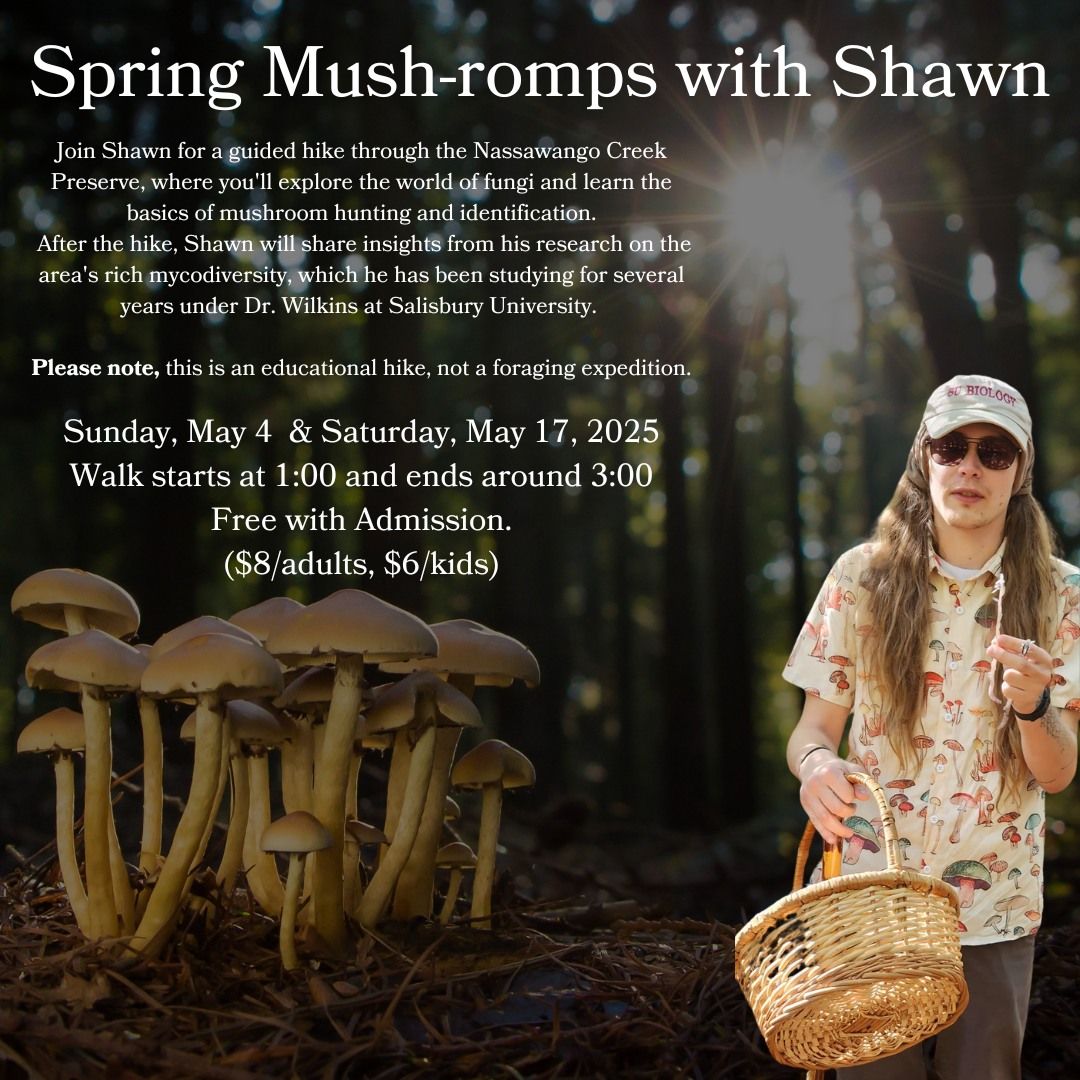 Spring Mushroom Hike