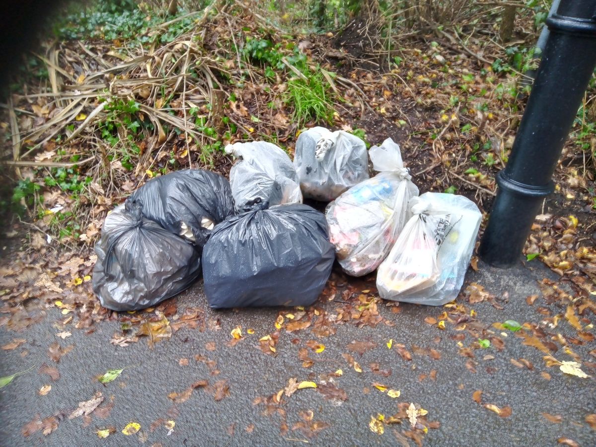 Peartree Green Spring Litter Pick
