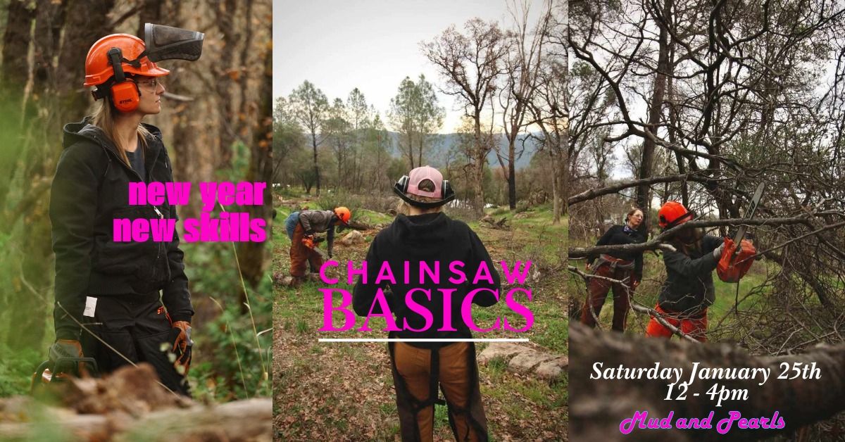 Chainsaw Basics with Amber Cone! 