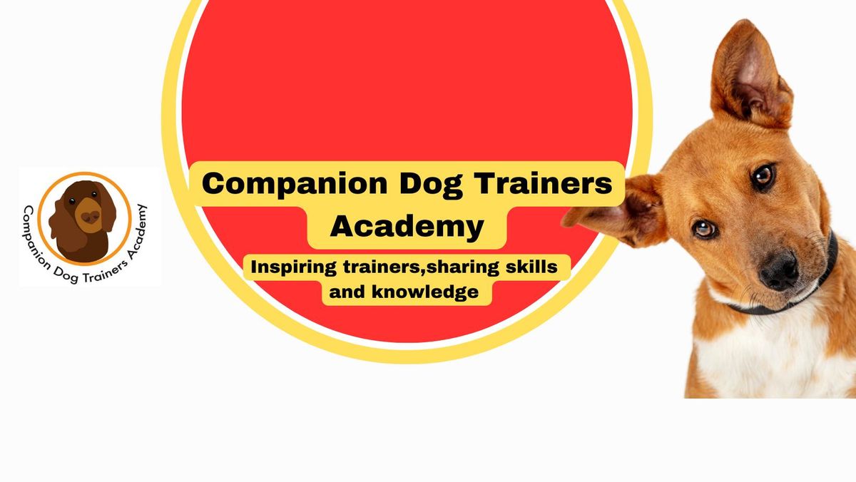 CDTA Teaching course 