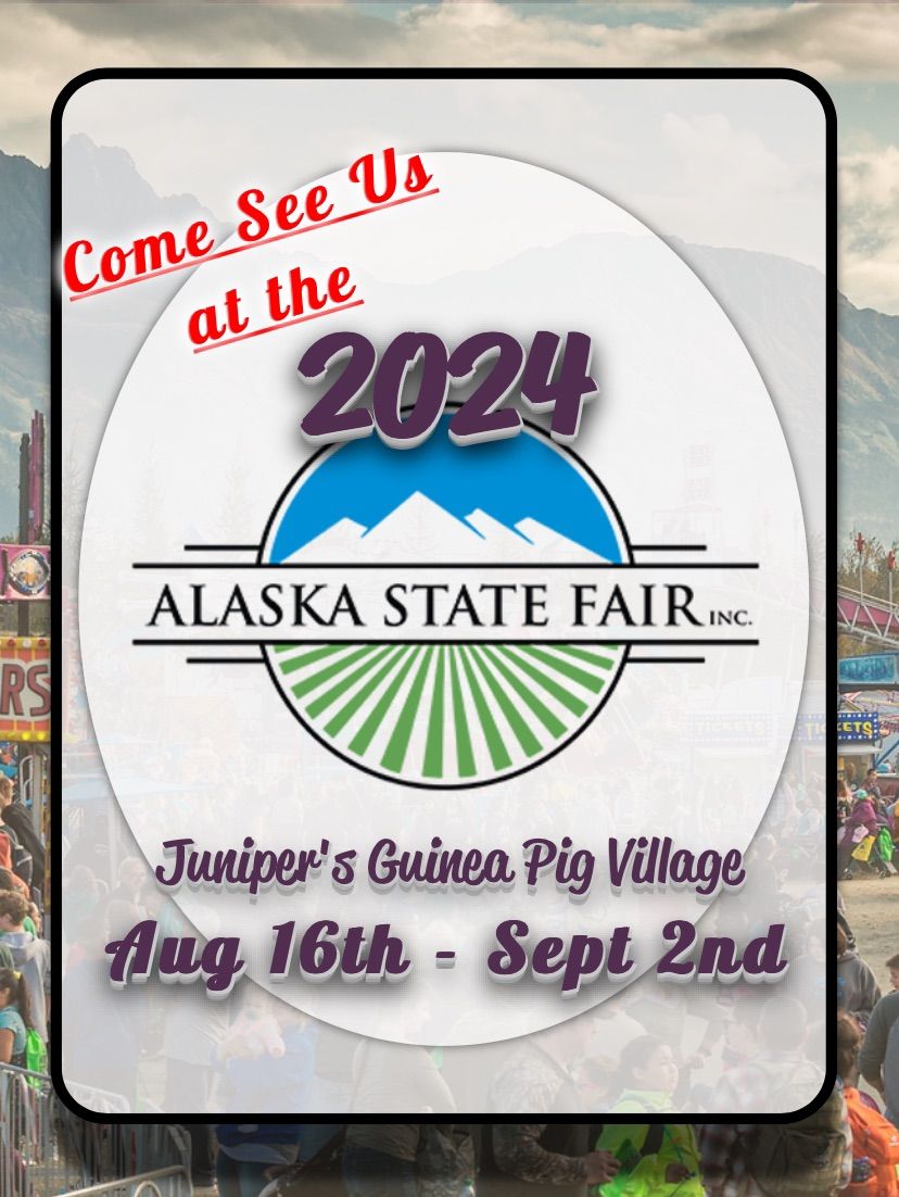 Juniper\u2019s Guinea Pig Village at the 2024 Alaska State Fair