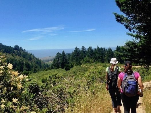Hike the Purisima Creek Redwoods Preserve Near Half Moon Bay