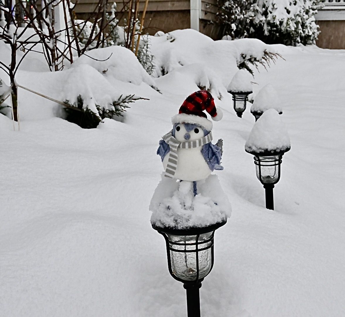 The Messy Garden: Preparing for Winter With Garry Menendez