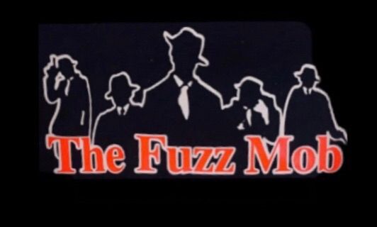 The Fuzz Mob Rocks Manatawny Still Works Pottstown 