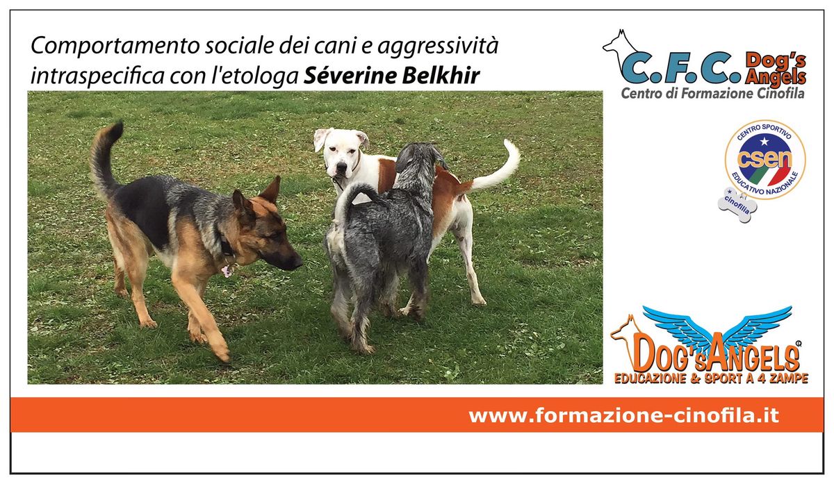 Comportamento sociale dei cani e aggressivit\u00e0 intraspecifica: seminario teorico e pratico