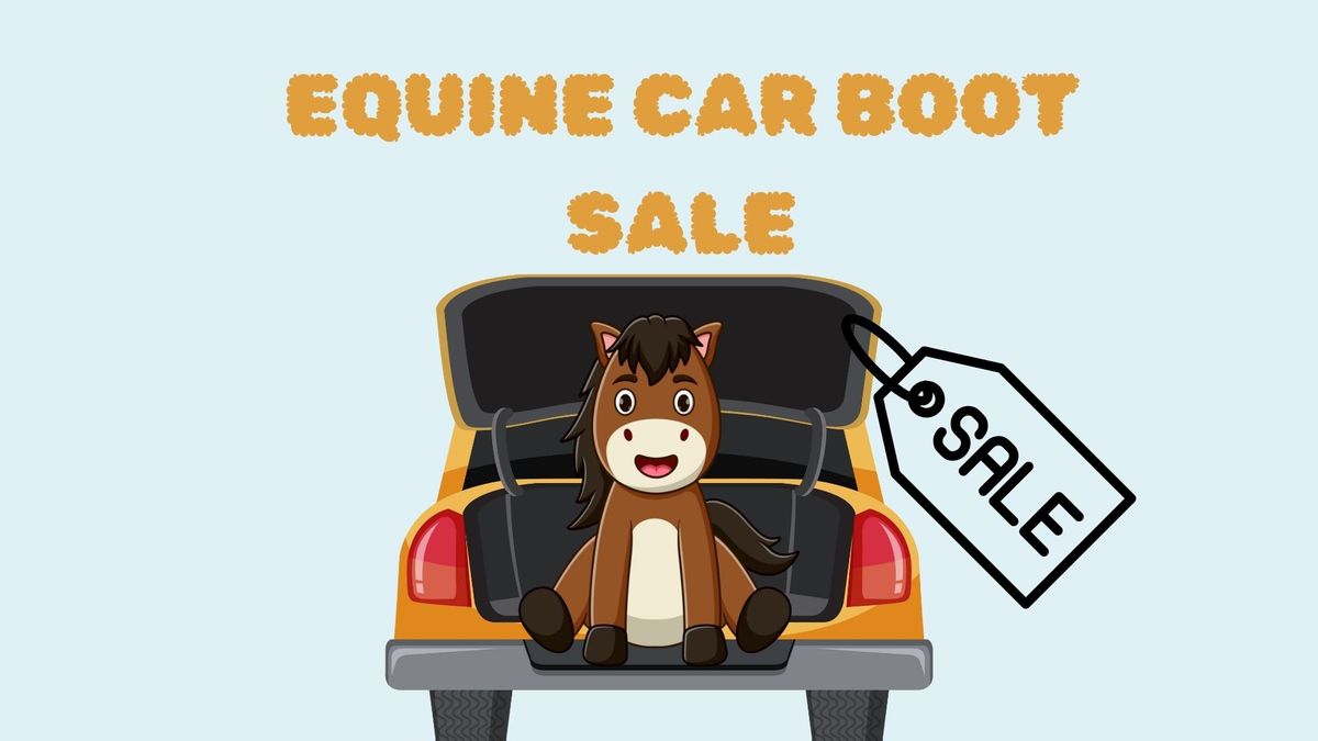 Indoor Equine Car Boot Sale