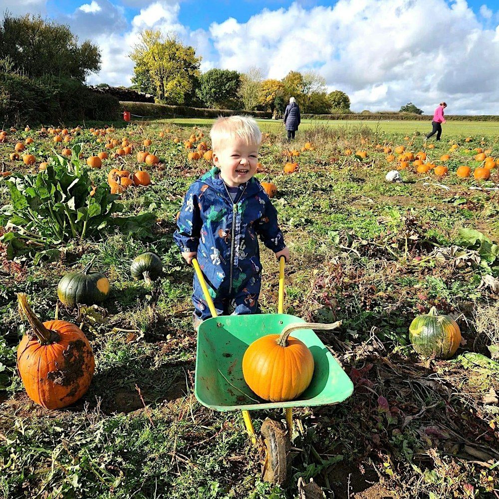 Pick of the Patch - Pumpkin Picking