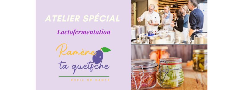 Atelier lactofermentation