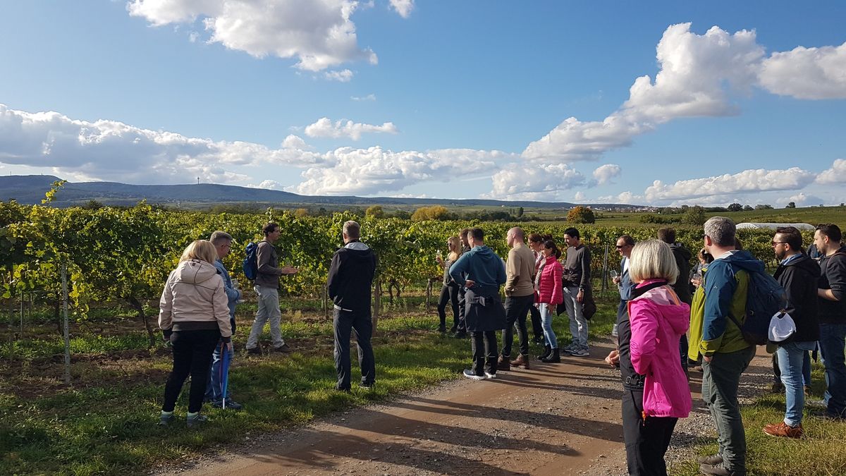 Stations-Weinprobe am WeinWanderWochenende Weine zur herbstlichen K\u00fcche