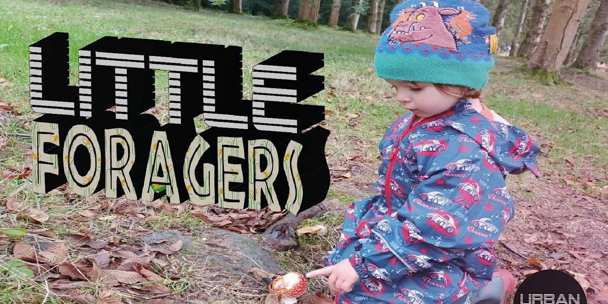LITTLE FORAGERS - KIDS ROCK POOLING - BRIGHTON - October HALF TERM HOLIDAYS
