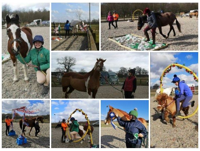 Horse Agility at GWC,  fun session and mini competition