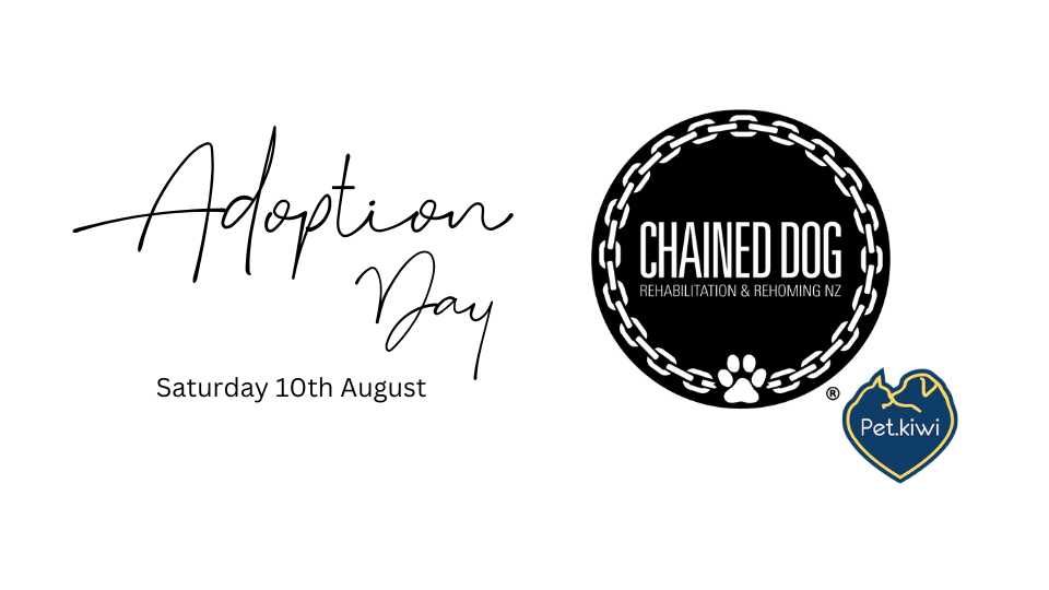 Chained Dog Rehab Adoption Day at Pet.Kiwi 