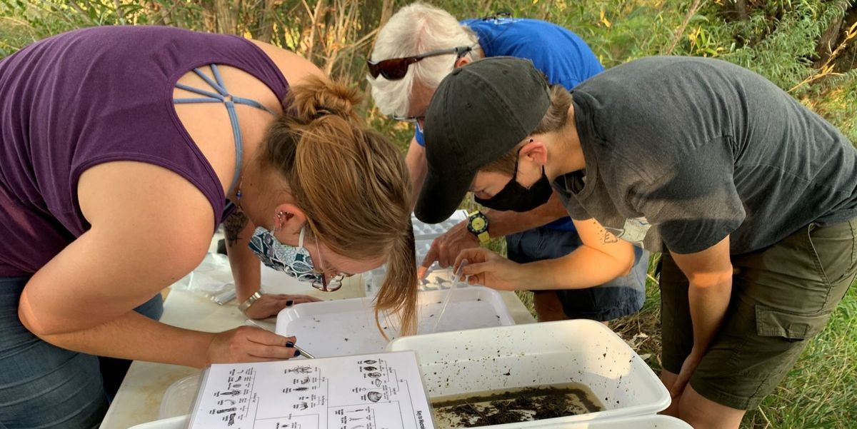 St Vrain Tributaries- Macro Invertebrate Sampling