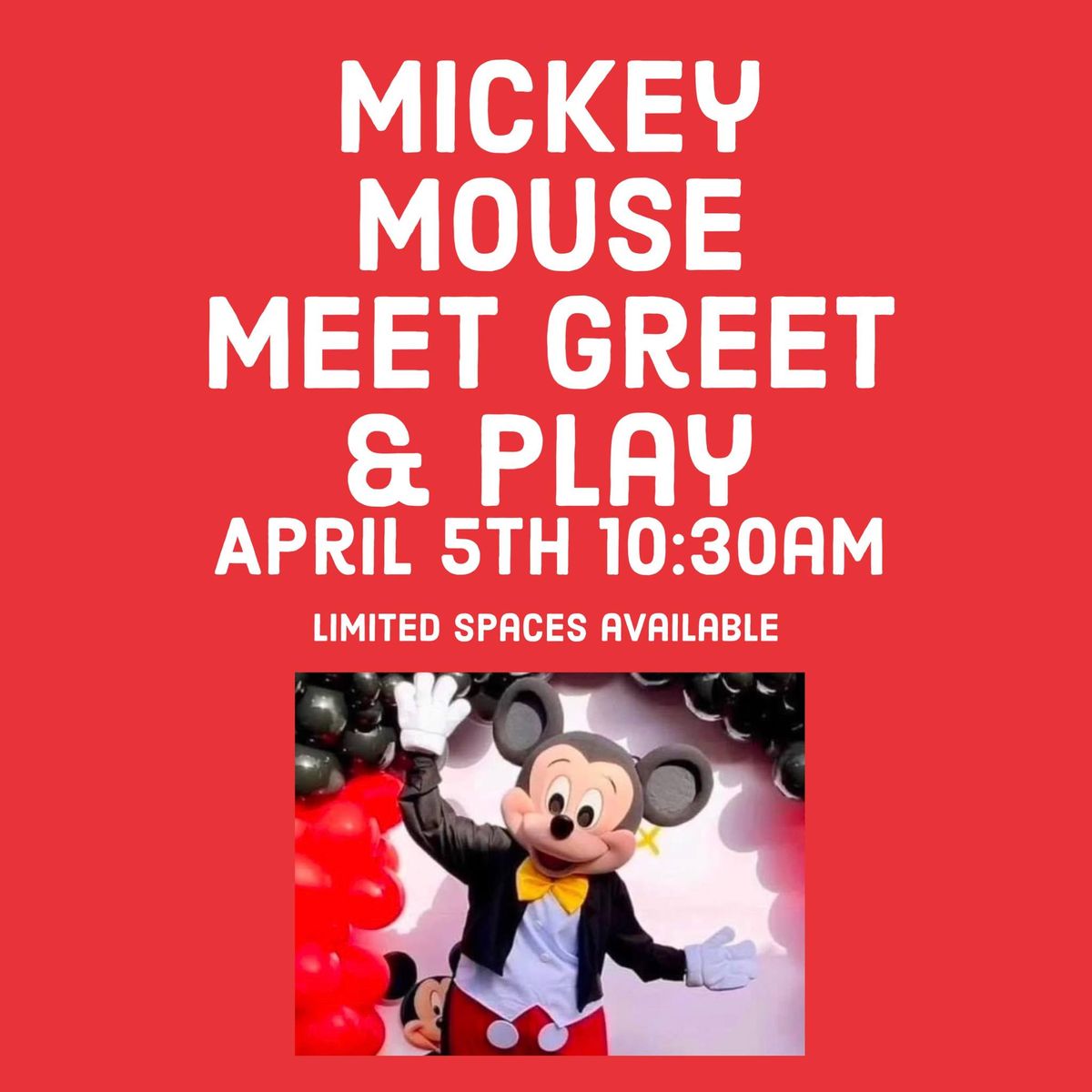 Mickey Meet Greet & Play