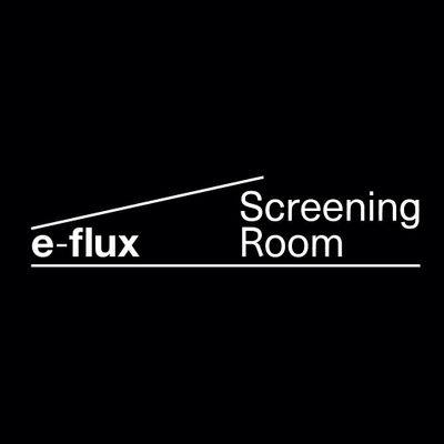 e-flux Screening Room