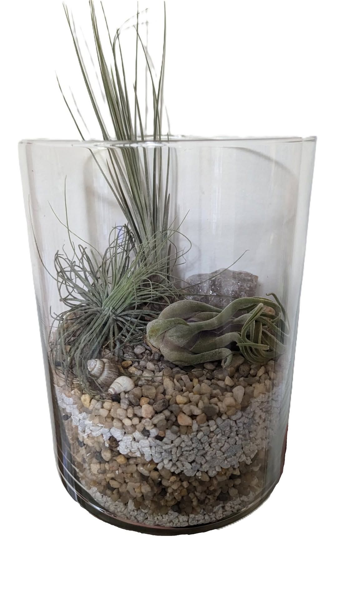 Air Plant Garden Workshop at 814 Vintage Marketplace 