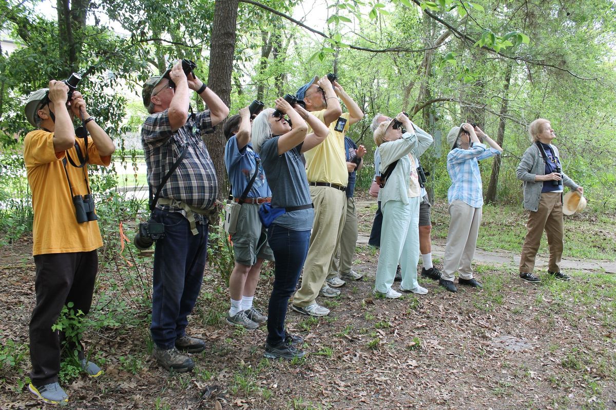 Fall Birding Trip: Sparrows & More