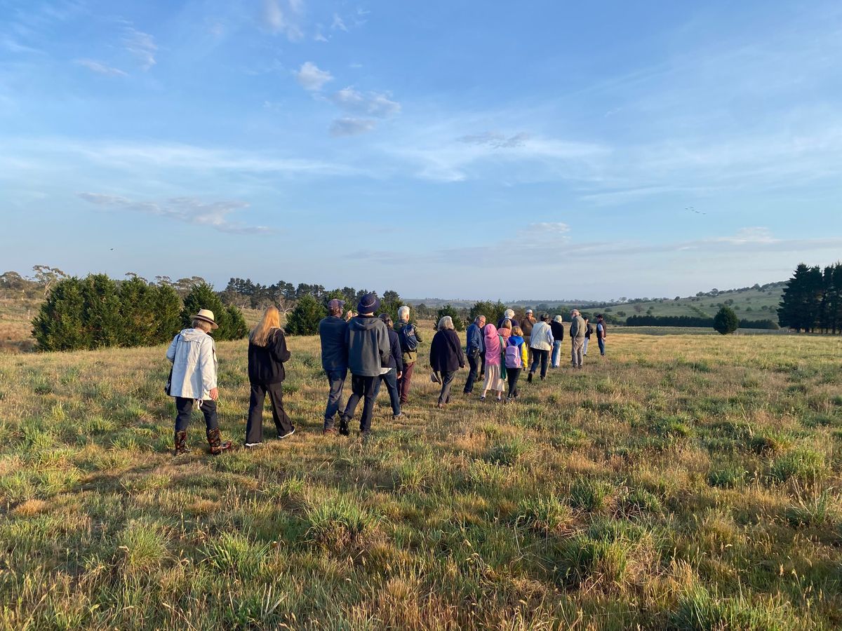 Golden Vale Nature Walk