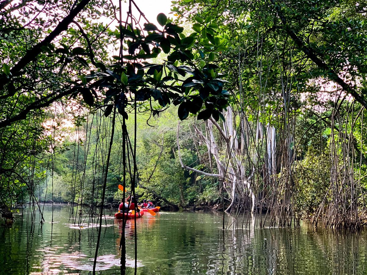 Khatib Bongsu River Trail (Upper)