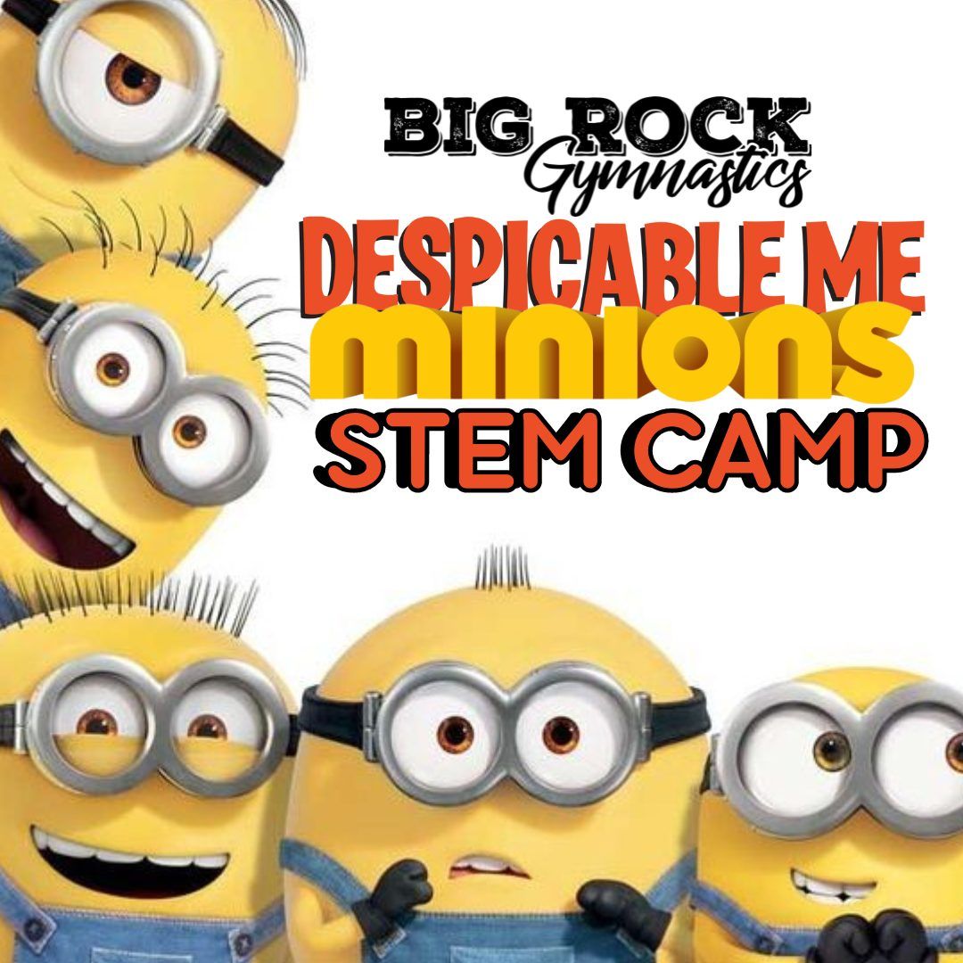 Despicable Me Minions Stem Camp