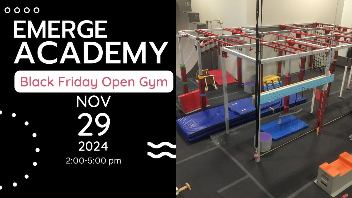 Black Friday 3 Hour Open Gym at Emerge!